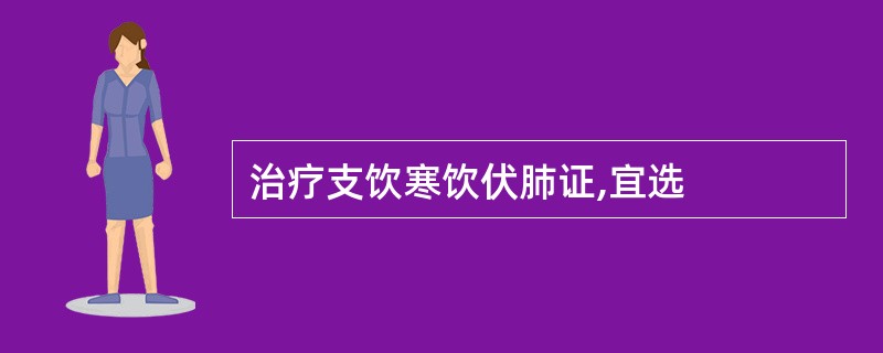 治疗支饮寒饮伏肺证,宜选