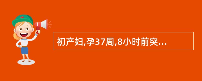 初产妇,孕37周,8小时前突然出现阴道流液,如小便样,6小时前开始出现规律宫缩,