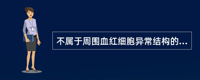 不属于周围血红细胞异常结构的是A、染色质小体B、Dohle体C、卡波环D、嗜碱性