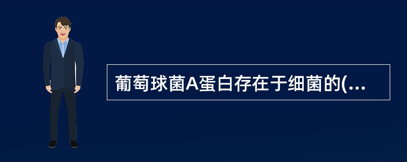 葡萄球菌A蛋白存在于细菌的( )A、细胞壁B、细胞膜C、鞭毛D、菌毛E、脂多糖