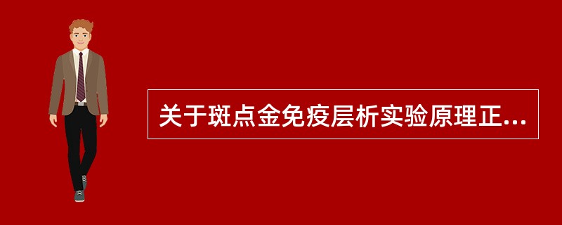 关于斑点金免疫层析实验原理正确的描述A、其实验的基本原理与dot£­ELISA相