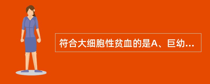 符合大细胞性贫血的是A、巨幼细胞性贫血B、缺铁性贫血C、珠蛋白生成障碍性疾病D、