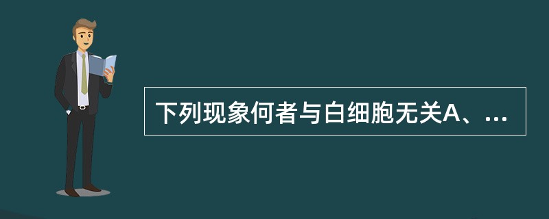 下列现象何者与白细胞无关A、中毒颗粒B、退行性变C、染色质小体D、棒状小体E、D