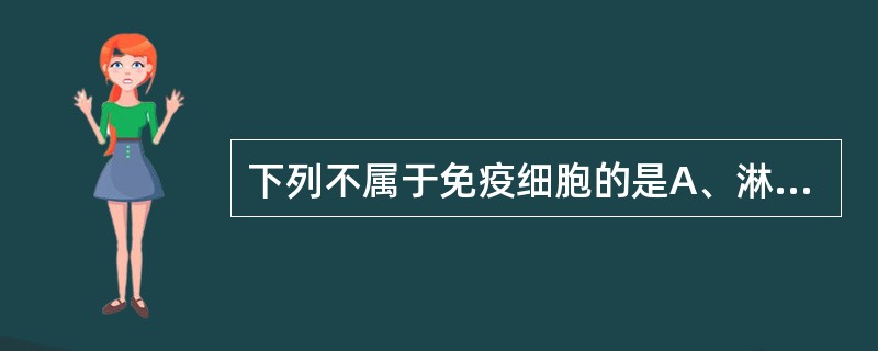 下列不属于免疫细胞的是A、淋巴细胞B、单核细胞C、神经细胞D、干细胞系E、肥大细