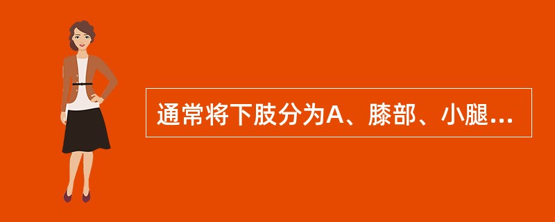 通常将下肢分为A、膝部、小腿和足部B、膝部、踝部和足部C、膝部、大腿和足部D、膝