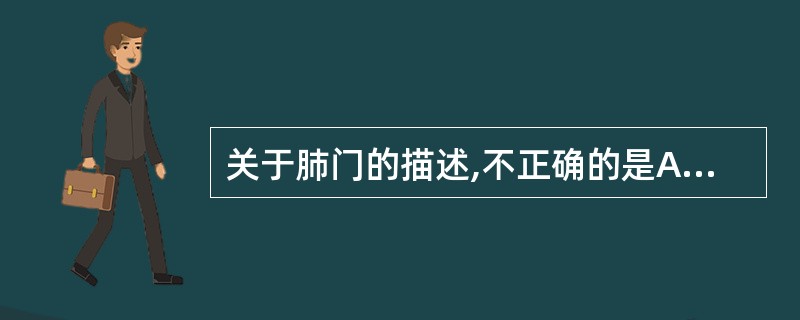 关于肺门的描述,不正确的是A、肺门区结构将肺内侧面分为纵隔部、肺门区与脊柱部三个