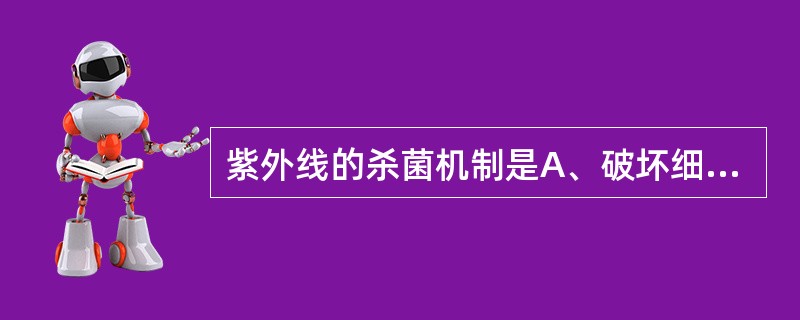 紫外线的杀菌机制是A、破坏细菌细胞壁B、损害细胞膜C、损伤细菌核酸D、破坏核糖体