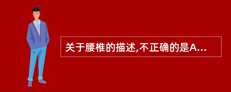 关于腰椎的描述,不正确的是A、腰椎体是所有椎骨中最大的B、横突以第3腰椎最长C、