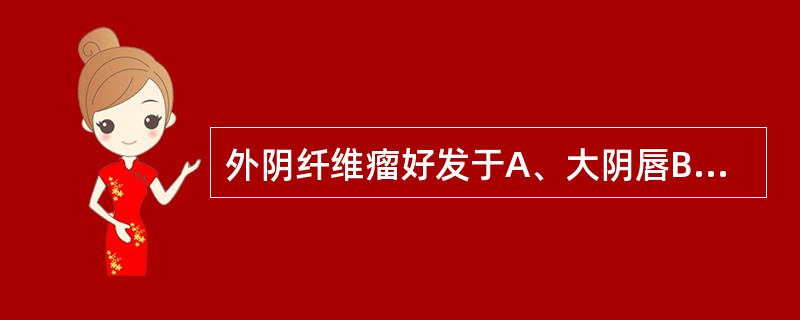 外阴纤维瘤好发于A、大阴唇B、后联合C、阴蒂D、小阴唇E、阴唇问沟