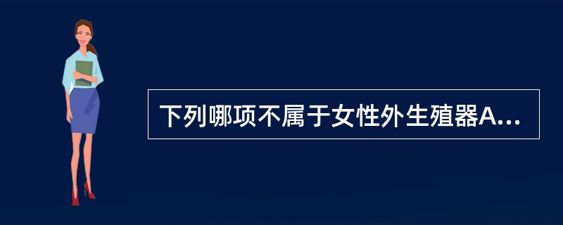 下列哪项不属于女性外生殖器A、外阴B、阴阜、阴蒂C、大阴唇、小阴唇D、肛门E、阴