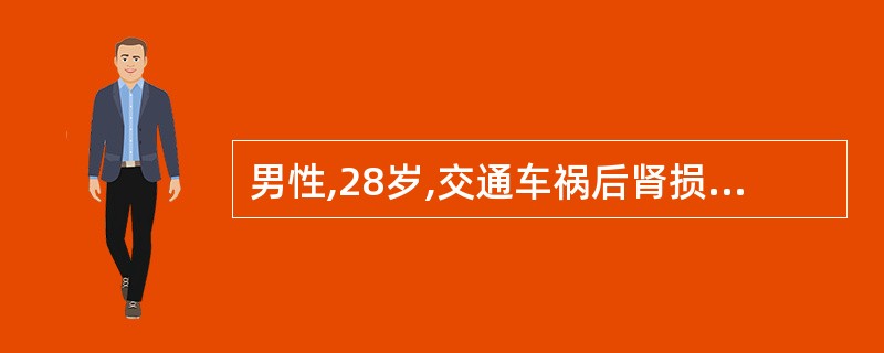 男性,28岁,交通车祸后肾损伤。损伤累及部分肾实质,形成肾瘀斑和(或)包膜下血肿