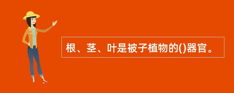 根、茎、叶是被子植物的()器官。