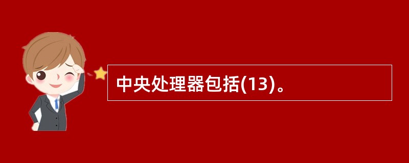 中央处理器包括(13)。