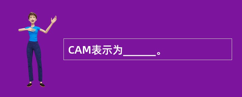 CAM表示为______。