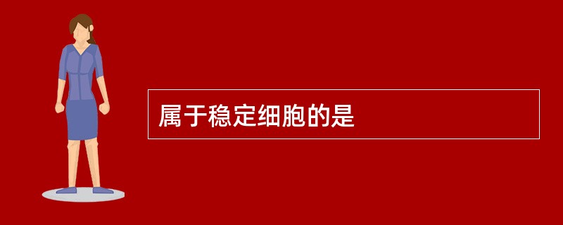 属于稳定细胞的是