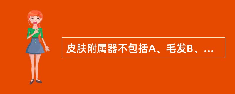 皮肤附属器不包括A、毛发B、汗腺C、立毛肌D、甲E、皮脂腺