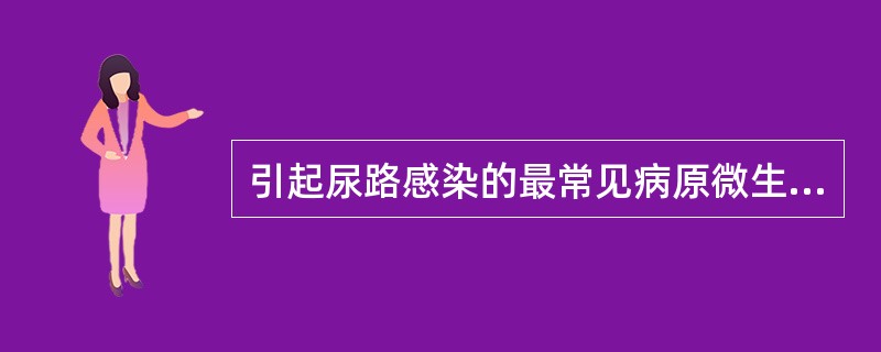引起尿路感染的最常见病原微生物是( )A、铜绿假单胞菌B、大肠杆菌C、变形杆菌D