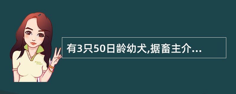 有3只50日龄幼犬,据畜主介绍,这3只幼犬与母犬同饲养在一个院子里的犬舍内,近来