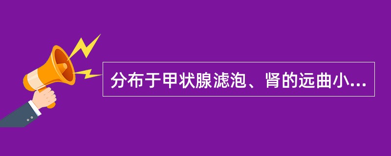 分布于甲状腺滤泡、肾的远曲小管和集合管的上皮为( )