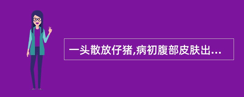 一头散放仔猪,病初腹部皮肤出现红斑、丘疹并伴有痒感,之后出现腹泻、腹痛、血便、脱