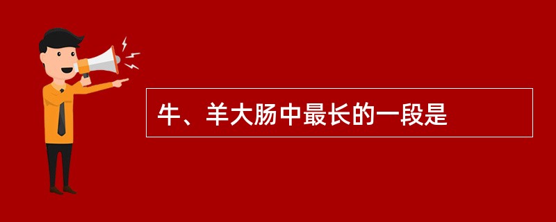 牛、羊大肠中最长的一段是