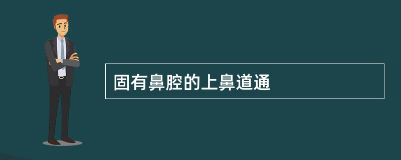 固有鼻腔的上鼻道通