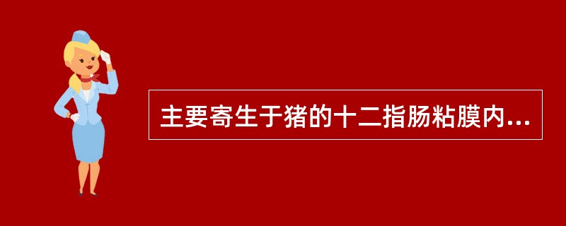 主要寄生于猪的十二指肠粘膜内的是