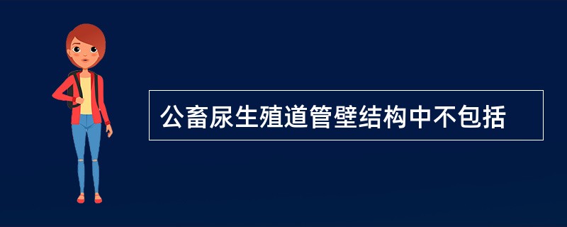 公畜尿生殖道管壁结构中不包括