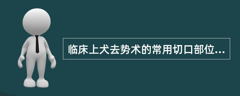 临床上犬去势术的常用切口部位是( )