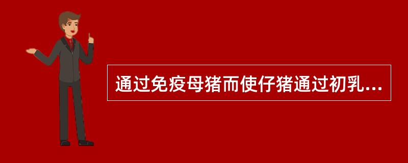 通过免疫母猪而使仔猪通过初乳获得的抗体的免疫方法是