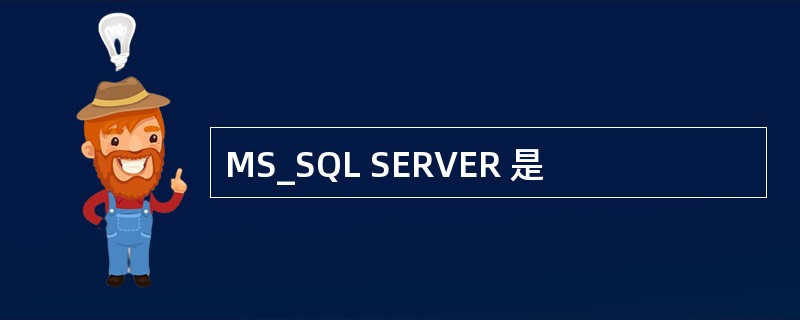 MS_SQL SERVER 是