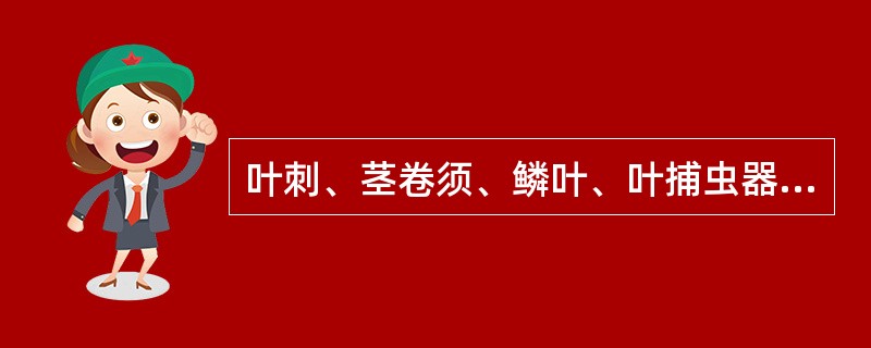 叶刺、茎卷须、鳞叶、叶捕虫器都是叶的变态。