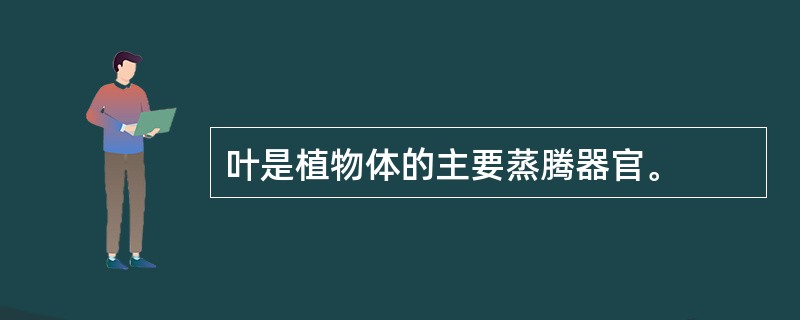 叶是植物体的主要蒸腾器官。