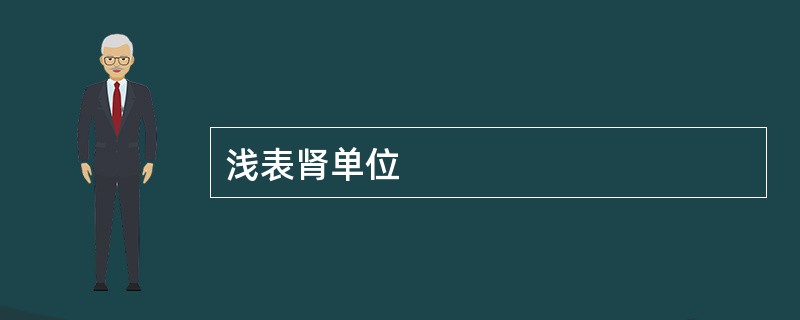 浅表肾单位