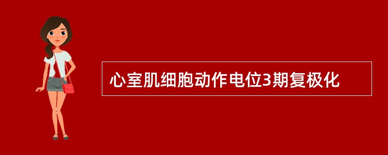 心室肌细胞动作电位3期复极化