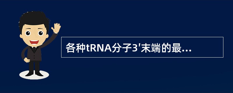 各种tRNA分子3′末端的最后三个核苷酸均是