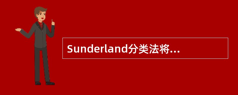 Sunderland分类法将周围神经损伤分为