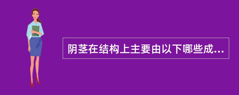 阴茎在结构上主要由以下哪些成分构成