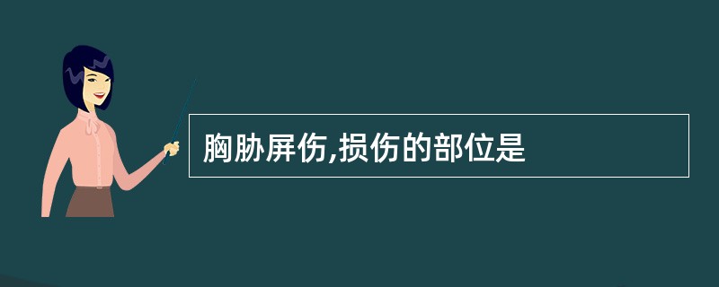 胸胁屏伤,损伤的部位是