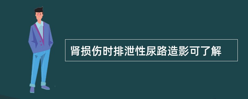 肾损伤时排泄性尿路造影可了解