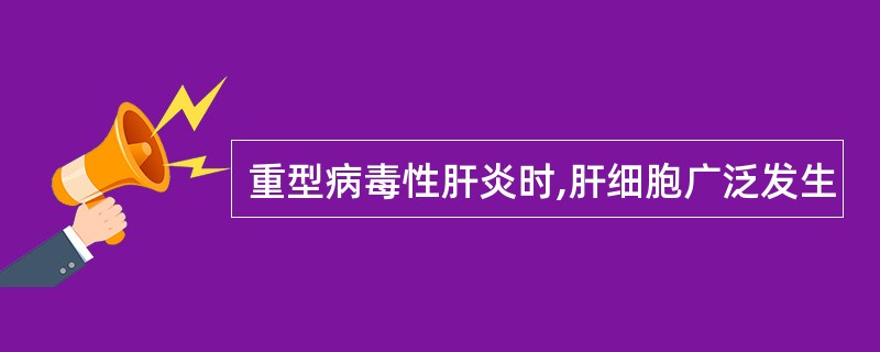 重型病毒性肝炎时,肝细胞广泛发生