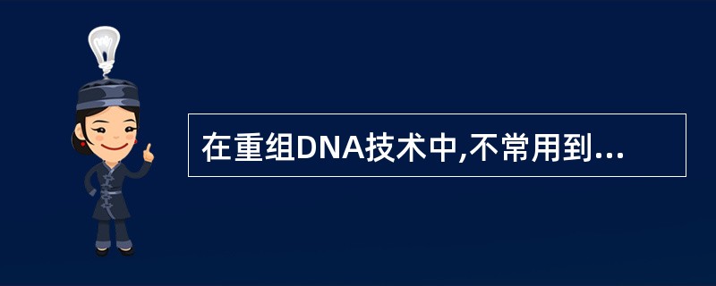 在重组DNA技术中,不常用到的酶是