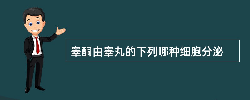 睾酮由睾丸的下列哪种细胞分泌