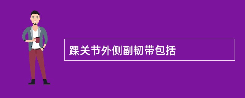 踝关节外侧副韧带包括