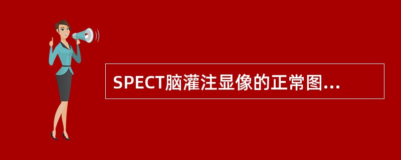 SPECT脑灌注显像的正常图像中放射性高的区域是