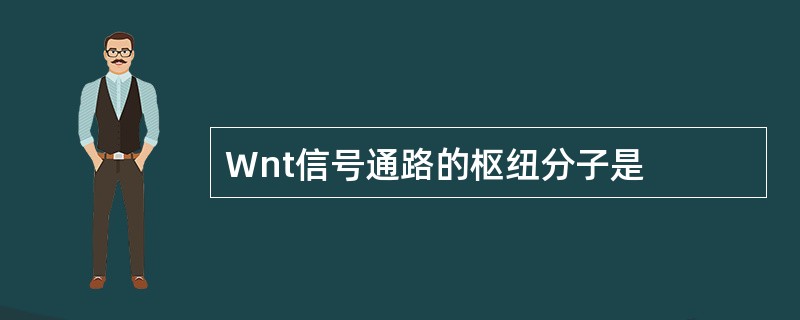 Wnt信号通路的枢纽分子是