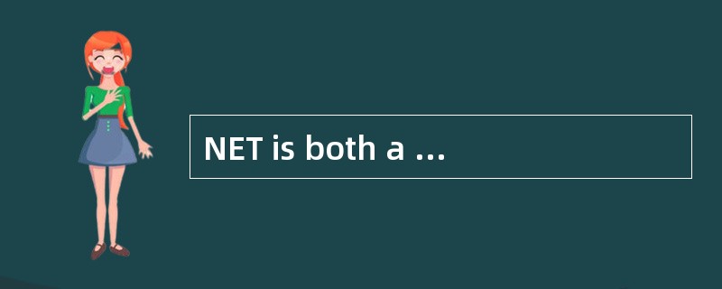 NET is both a business strategy from Mic