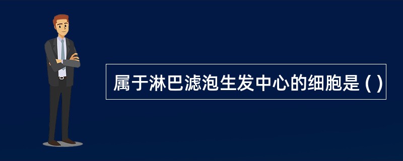 属于淋巴滤泡生发中心的细胞是 ( )