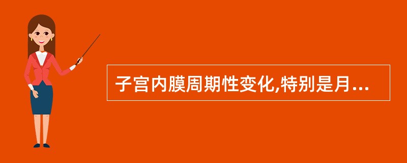 子宫内膜周期性变化,特别是月经后的改变