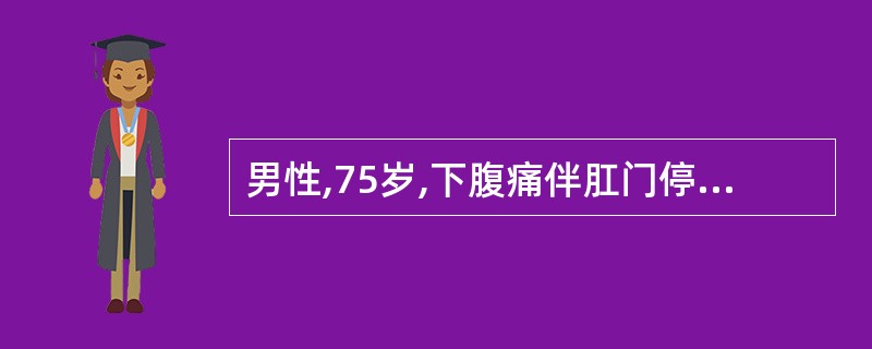 男性,75岁,下腹痛伴肛门停止排便排气2天,无呕吐。既往有多年便秘病史。查体:明